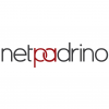 Linkbuilding-Agentur netpadrino